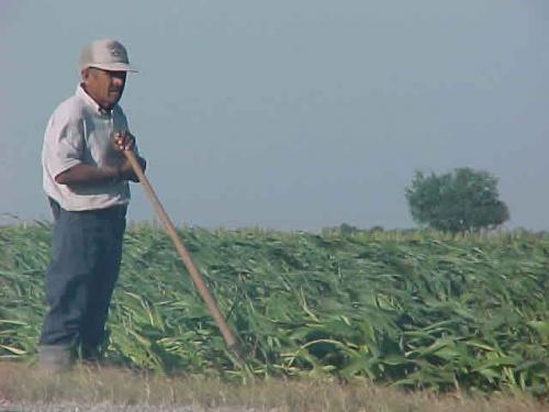 No sembraran en zona de temporal, ante falta de lluvias